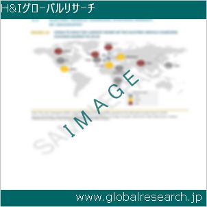 グローバルリサーチ調査レポートのイメージ